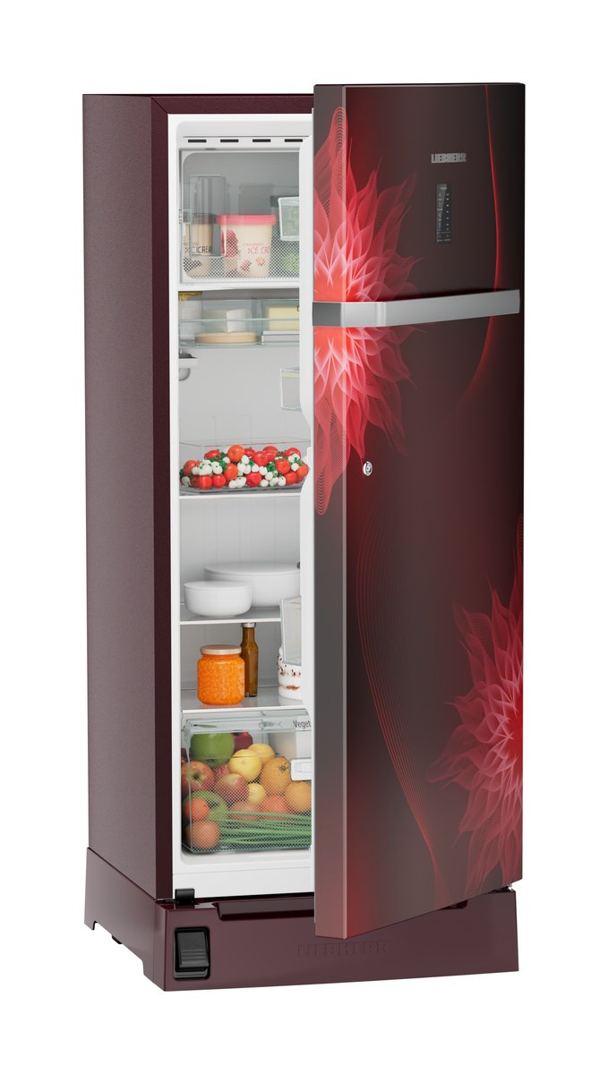 DFBrmD 2025 Plus Singledoor refrigerator 202L in 4 Star with Hands